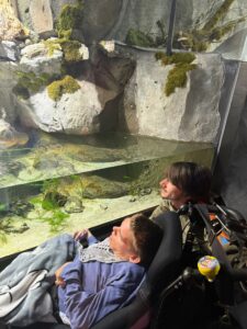 IMG-20250924-WA0020