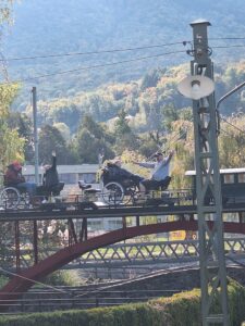 IMG-20251008-WA0023